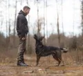 Mensch-Hund-Beziehung bei Allgäu Dogs