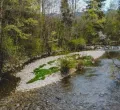 Herbsttour an der Unteren Argen bei Neutrauchburg