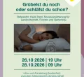 Grübelst du noch oder schläfst du schon - online
