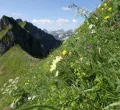 Allgäuer Hochalpen – Vortrag im Bahnhof Oberdorf