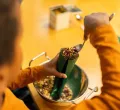 Kinderführung durch die Apotheke