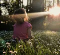 Wilder Kräuternachmittag für Kinder in Weitnau