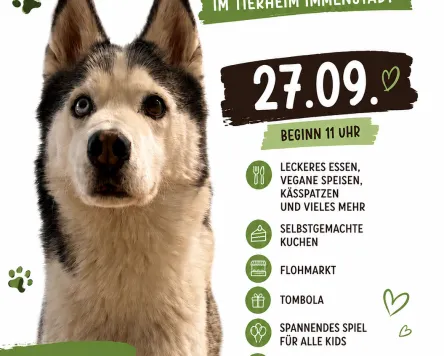 Tag der offenen Tür im Tierheim Immenstadt