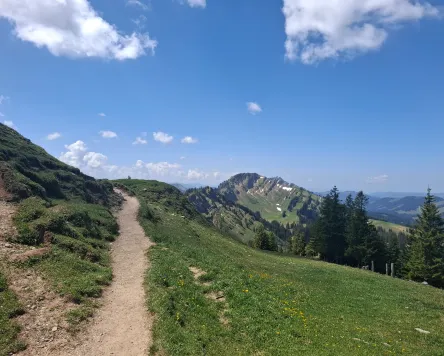 Gebirgsmarathon Immenstadt