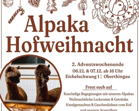 Alpaka Hofweihnacht in Eichelschwang bei Oberthingau