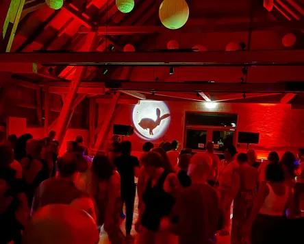 Hasen-Party in Bärenweiler