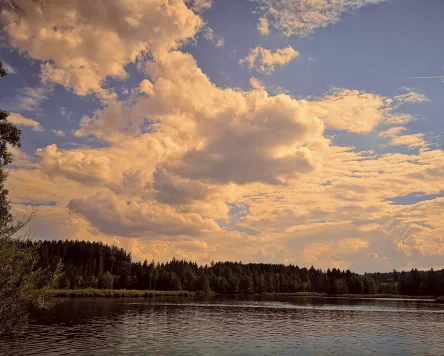 Tag des Wassers am Notzenweiher hinter Hochgreut