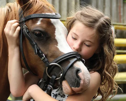 Rent a Pony in Nesselwang