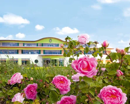 PRIMAVERA Rosenfest in Oy-Mittelberg