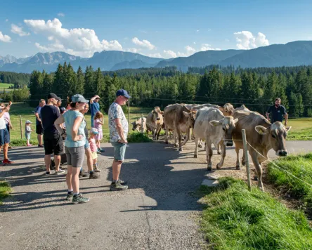 Kinder-Ferienprogramm  Bauernhofbesuch