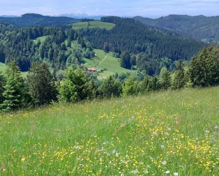 Über die Kreuzleshöhe zum Ziegenhof