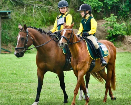 Reitturnier in Dietmannsried