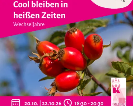 Cool bleiben in heißen Zeiten - online
