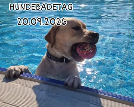 Hundebadetag im Freibad