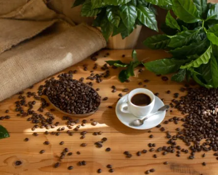 Reise in die Welt des Kaffees in Legau