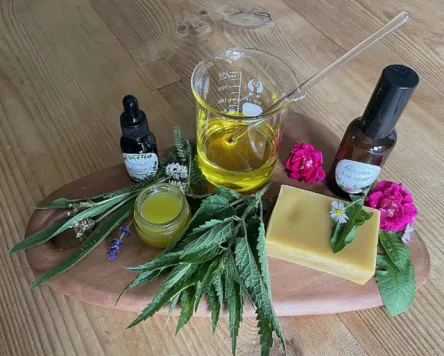 Heilsalbe Kräuterworkshop in der Rapunzel Welt Legau