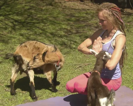 Ziegenyoga für Kinder in Kraftisried