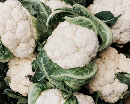 Wochenmarkt in Lindenberg