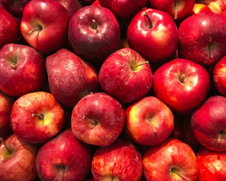 Flavonoide – ein wichtiger Pflanzenwirkstoff in Weitnau