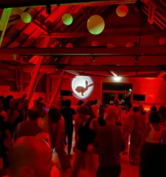 Hasen-Party in Bärenweiler