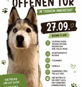 Tag der offenen Tür im Tierheim Immenstadt