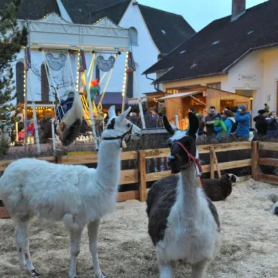 Weihnachtsmarkt im Trunzerstadel Schrattenbach