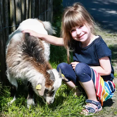 Austausch zu Bauernhofkindergärten (Online)