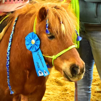 Spaßturnier des Clay Pit Stables bei Altusried