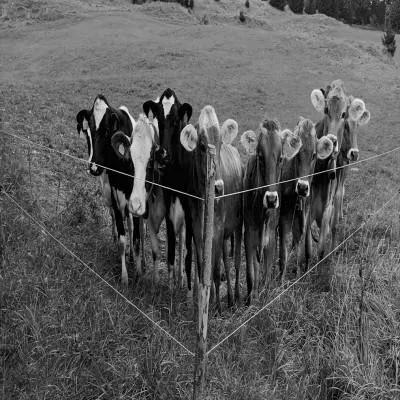 KunstStammtisch im Quartier in Kempten