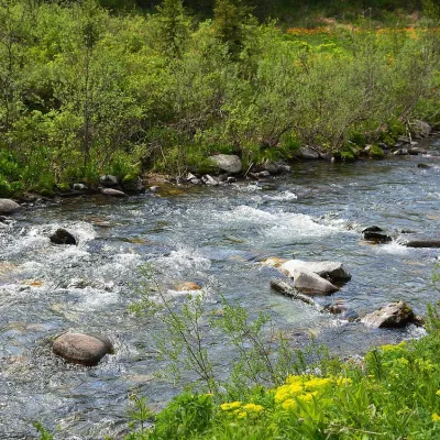 Ökosystem Bach und Tümpel im Biberhof Sonthofen