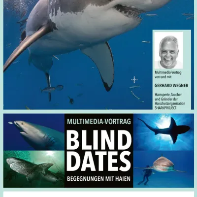 Blind Dates – Begegnungen mit Haien in der Villa K Durach