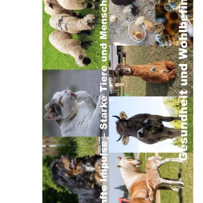 Sanfte Impulse - Starke Tiere und Menschen in Kempten