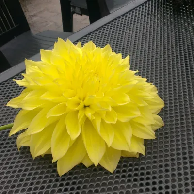 Enneagramm Workshop auf dem Wegmannhof