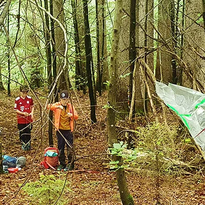 Mooskäfer - Waldkunst mit querKUNST