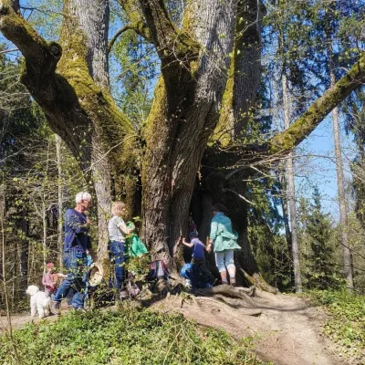 Natur- und Kulturwanderung bei Ratzenried