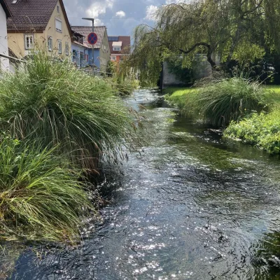 Die Isnyer Ach – Lebensader der Stadt in Isny im Allgäu