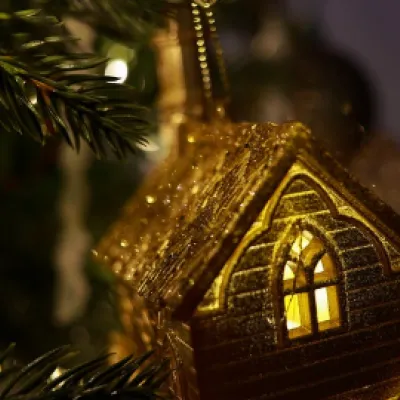 Waldweihnacht in der Waldwelt bei Scheidegg 🎄