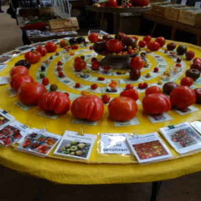 Bio-Ring Saatgutmarkt in der Dampfsäg Sontheim