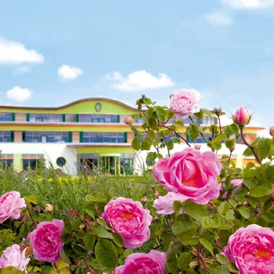 PRIMAVERA Rosenfest in Oy-Mittelberg