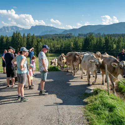 Kinder-Ferienprogramm  Bauernhofbesuch