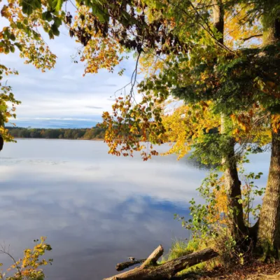 Weiher, Wald und Wild bei Immenried
