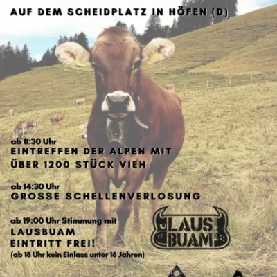 Viehscheid in Höfen bei Oberstaufen