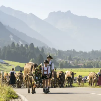 Viehscheid in Oberstdorf