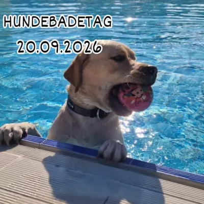 Hundebadetag im Freibad
