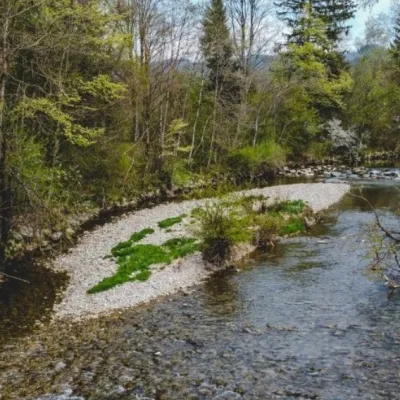 Herbsttour an der Unteren Argen bei Neutrauchburg