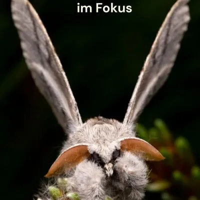 Schönheiten der Nacht am Biberhof in Sonthofen