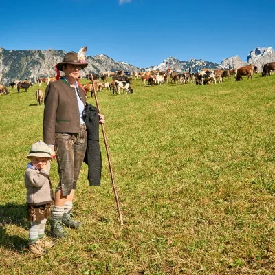 Almabtrieb in Schattwald