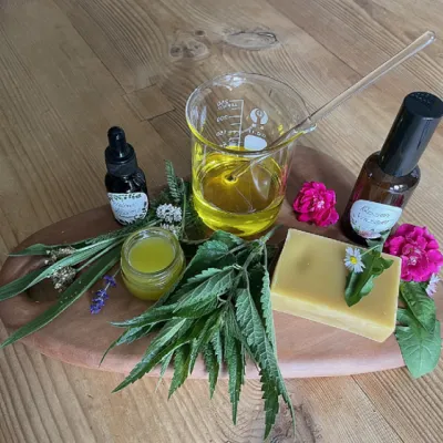 Heilsalbe Kräuterworkshop in der Rapunzel Welt Legau