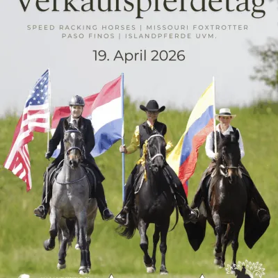 Verkaufspferdetag in Aichtal