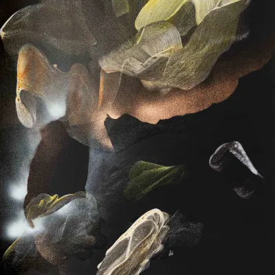 DIE NEUEN in der Kunsthalle Kempten